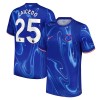 Maillot de Supporter Chelsea Caicedo 25 Domicile 2024-25 Pour Homme